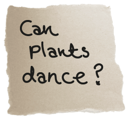 Can plants dance?